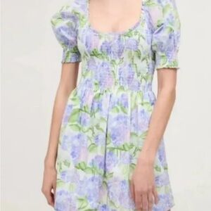 Hill House Hydrangea XS